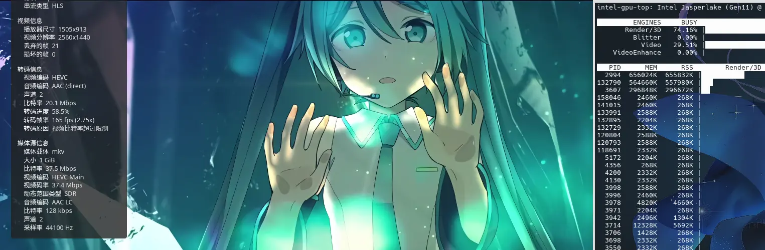 在 Linux 平台启用Edge/Chrome/Firefox浏览器的硬解码